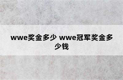 wwe奖金多少 wwe冠军奖金多少钱